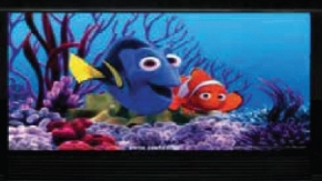 Imagem para a categoria Indoor